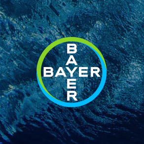 The Bayer Cross placed on a dark photographic background.