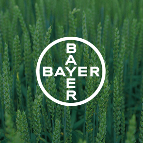 When the legibility of the full colored Bayer Cross is compromised, (i.e. light blue or green backgrounds), then the white logo can be applied. However, this should be seen as an exception and be avoided where possible.