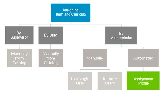 assignment_options