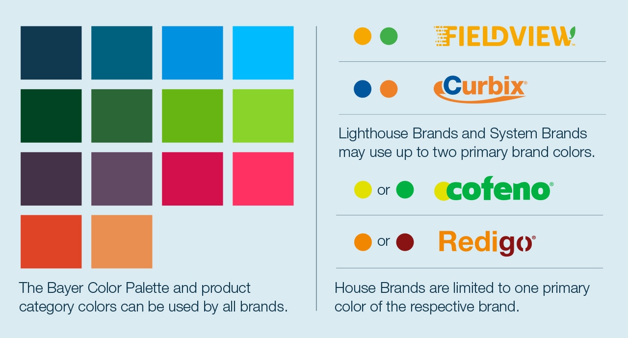Gradient Color Options
