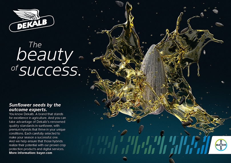 The key visual for the new EMEA DEKALB sunflower campaign, with a strong DEKALB brand identity alongside the Code Design