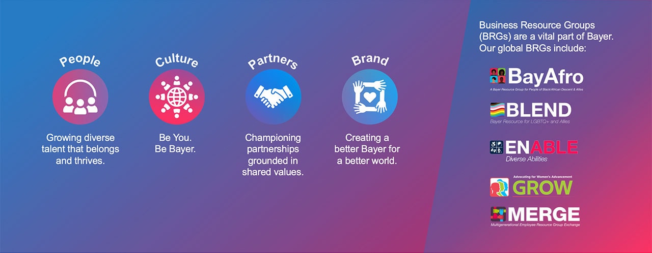 We are committed to diversity, creating an environment with equal opportunities and inclusion for everyone 