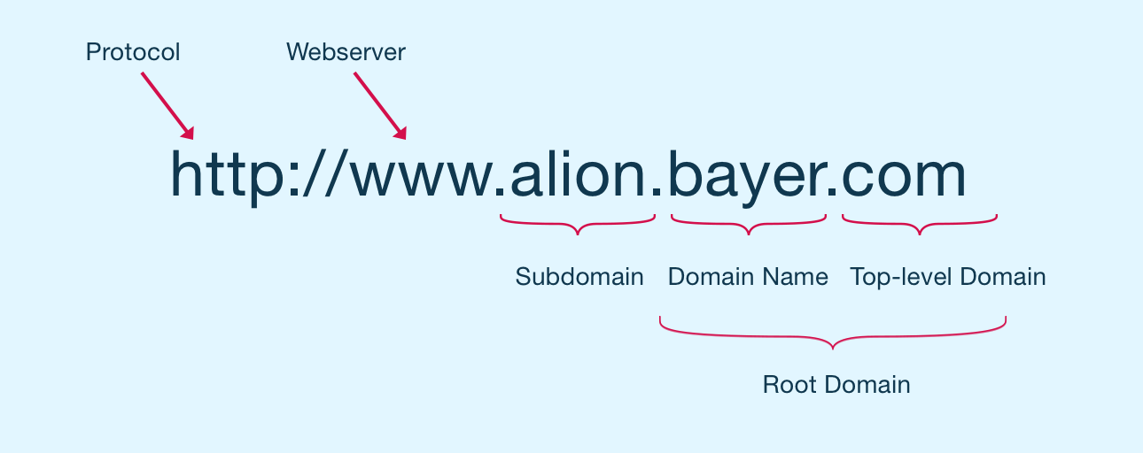 domainnaming01