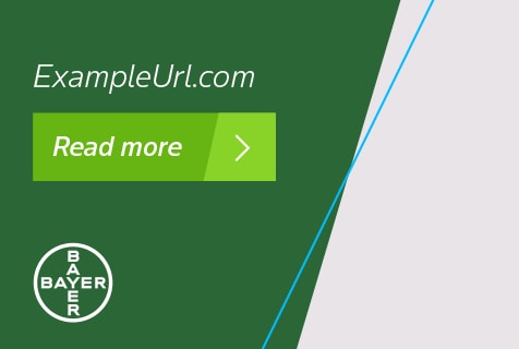 Call-to-action (CTA)