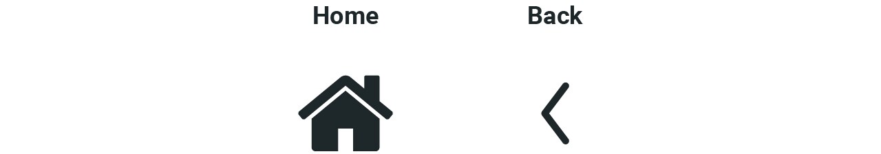 Standard usage of Home and Back icons consistent with consumer conventions.