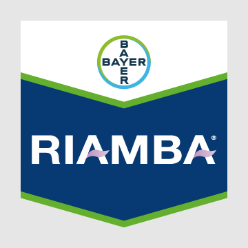 Riamba Brand Tag and logo