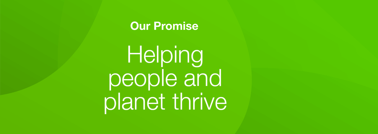 Our promise
