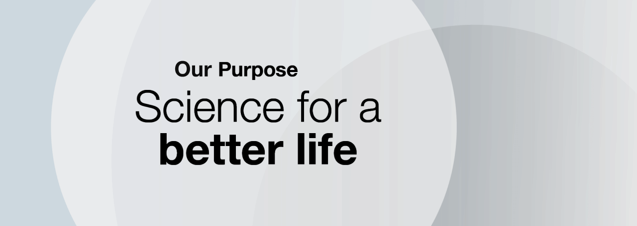 Our Purpose
