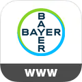 Bayer Cross