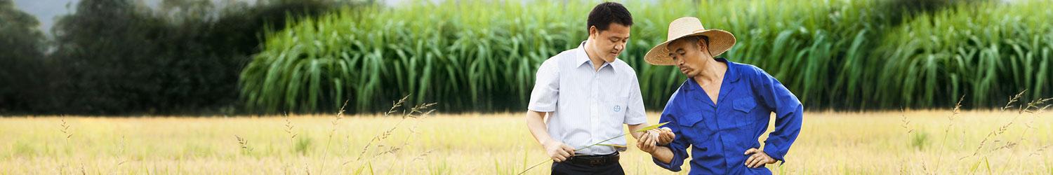 Two people in a field examining plants, one in a white shirt and the other in a blue outfit and straw hat. Tall grass is in the background.