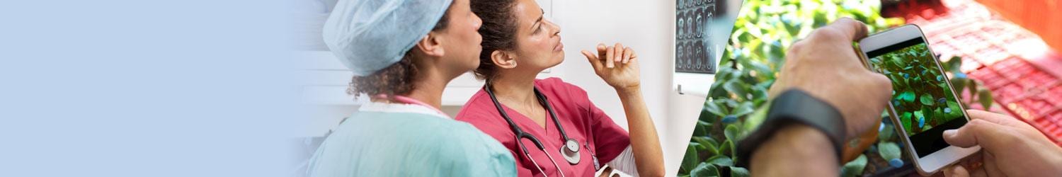 Two medical professionals examine an X-ray, while a person uses a smartphone to take a photo of plants.