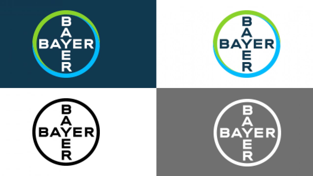 Four variations of the Bayer logo are displayed, each with different background colors: dark blue, white, gray, and another white with a green and blue circular design.