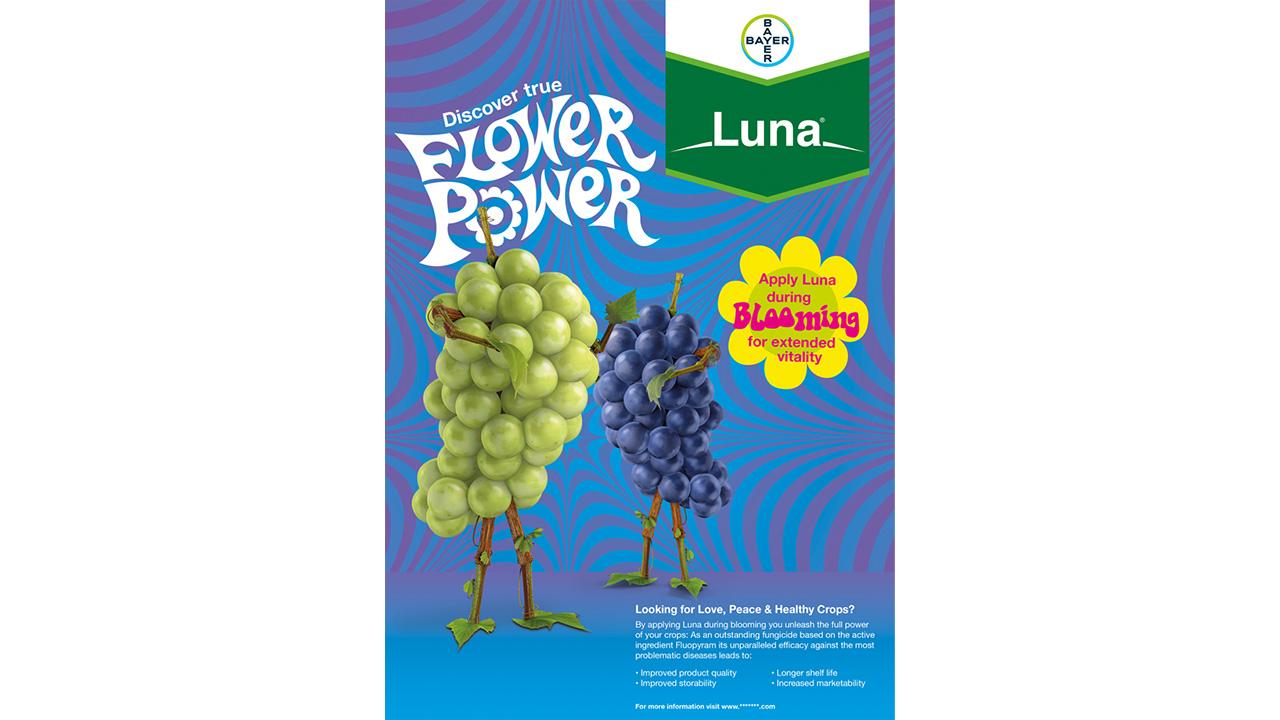 Promotional poster for Luna, featuring anthropomorphic grape characters on a psychedelic background with text about applying Luna for crop health.