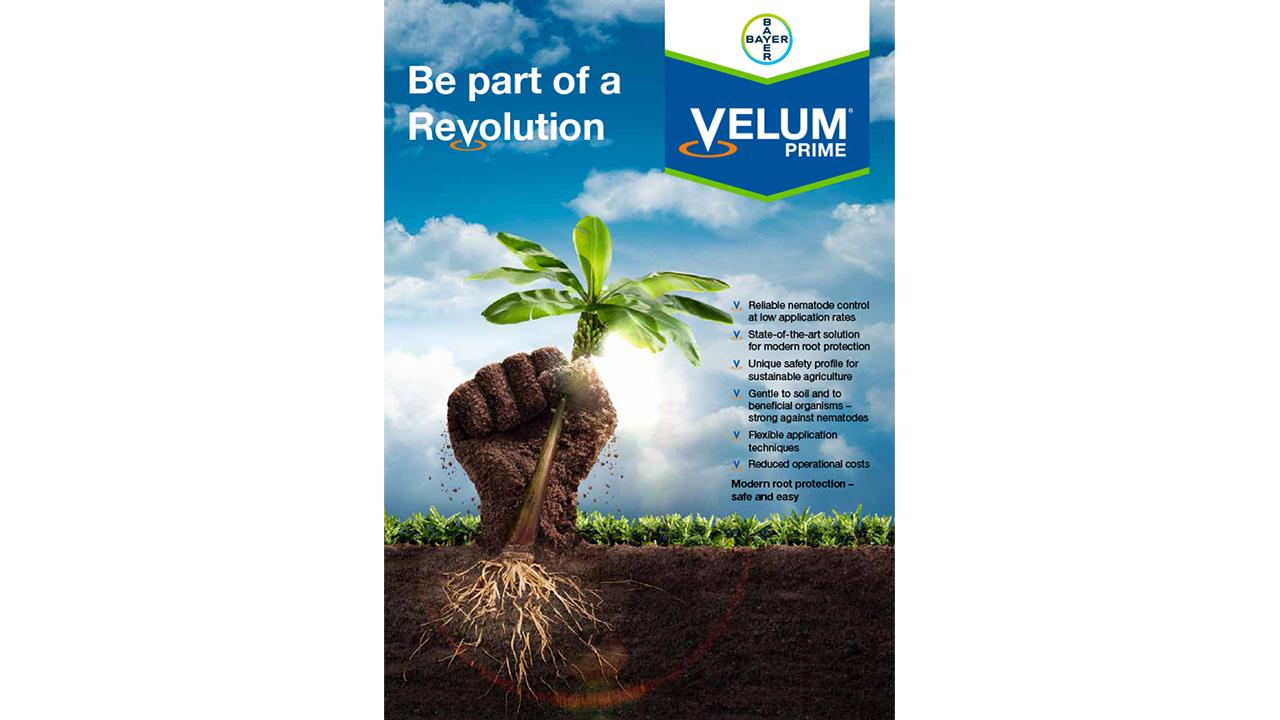 A hand holding a seedling emerges from soil with visible roots. The text promotes Velum Prime, highlighting its benefits for crop protection and soil health. Sky and field background.