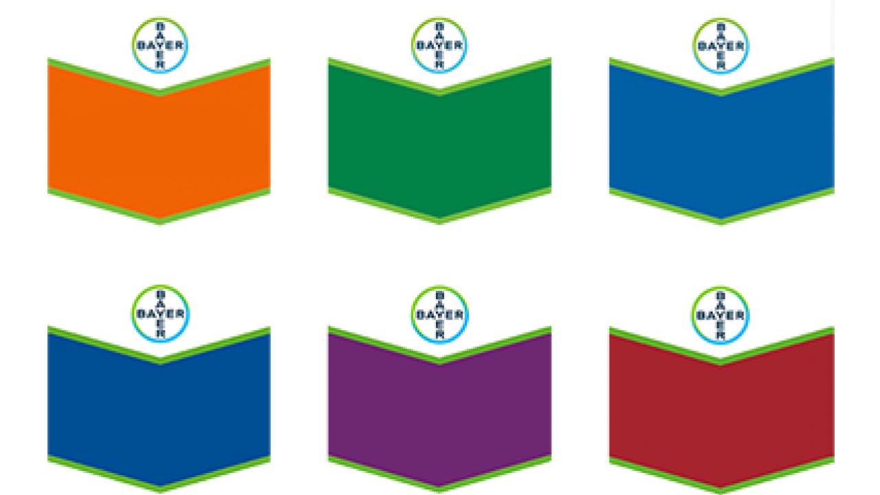 Four colorful sections with Bayer logos at the top: orange, green, blue, purple, and red, separated by green zigzag lines.