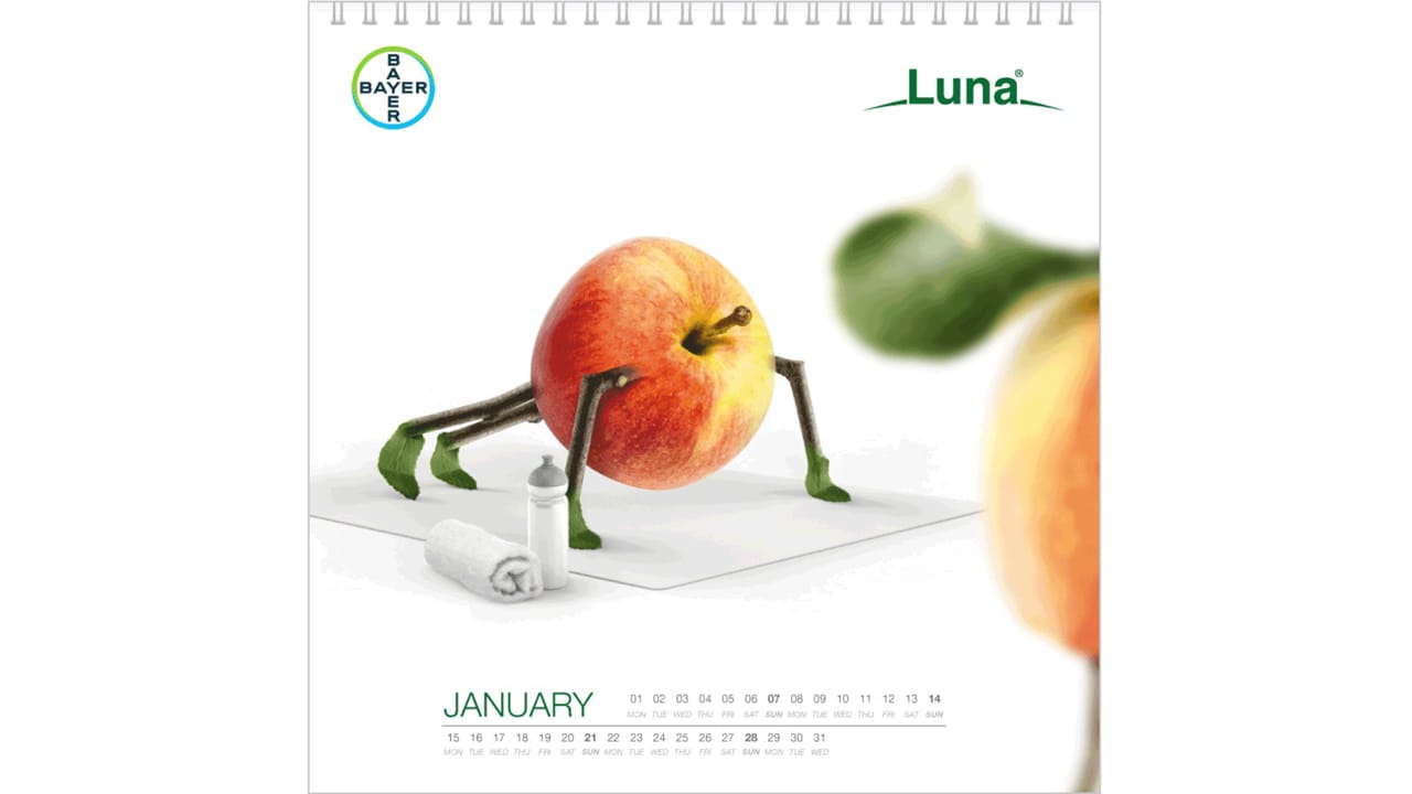 Anthropomorphic peach doing yoga on a mat near a bottle and towel, for a January calendar page.