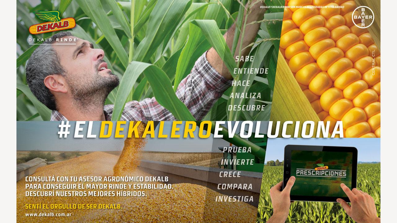 A man in a field examines corn plants. Text overlays promote Dekalb agricultural products, featuring a corn cob, a field, and a tablet displaying a digital farm management app.