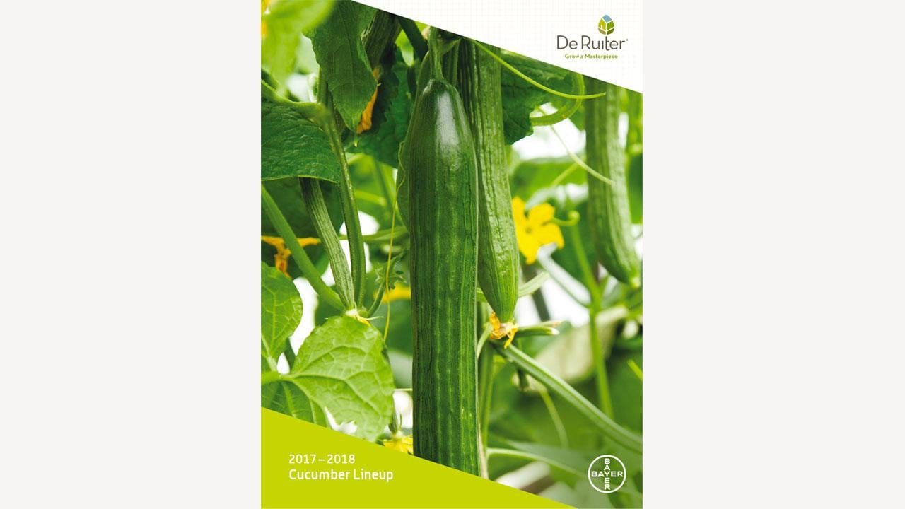 A cucumber growing on a vine with green leaves and small yellow flowers, set against a white background with the De Ruiter logo. Text reads "2017-2018 Cucumber Lineup.