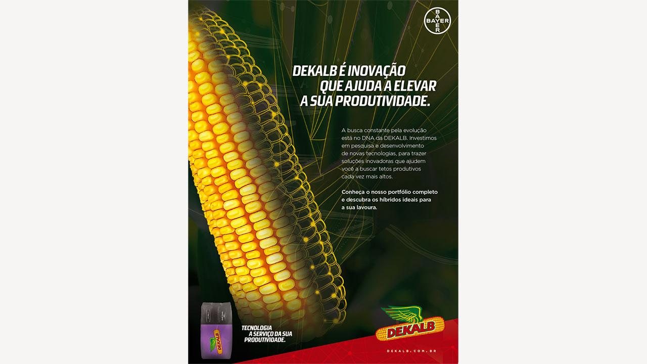 Close-up of a corn cob with a Bayer logo. Text in Portuguese promotes Dekalb's advanced technology for increased productivity. Dekalb logo and product image visible at the bottom.