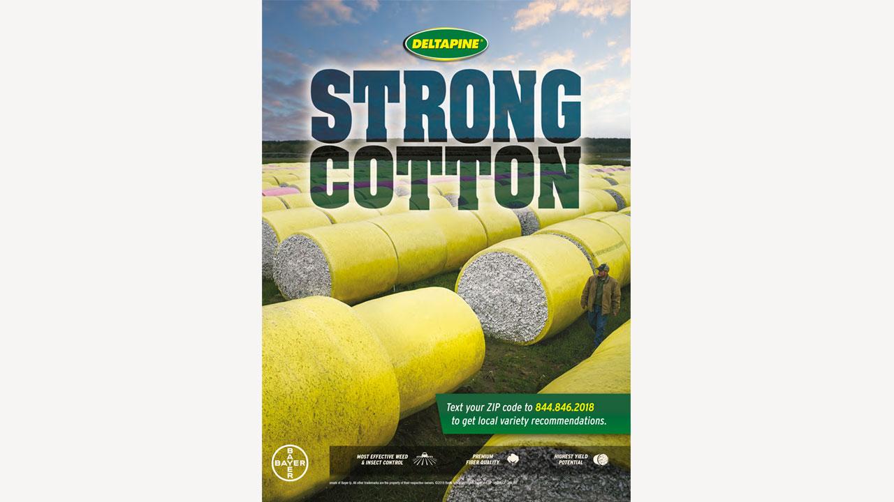 An advertisement for Deltapine cotton highlighting its strength, with large cotton bales and a farmer in a field. Includes a text code for local recommendations.