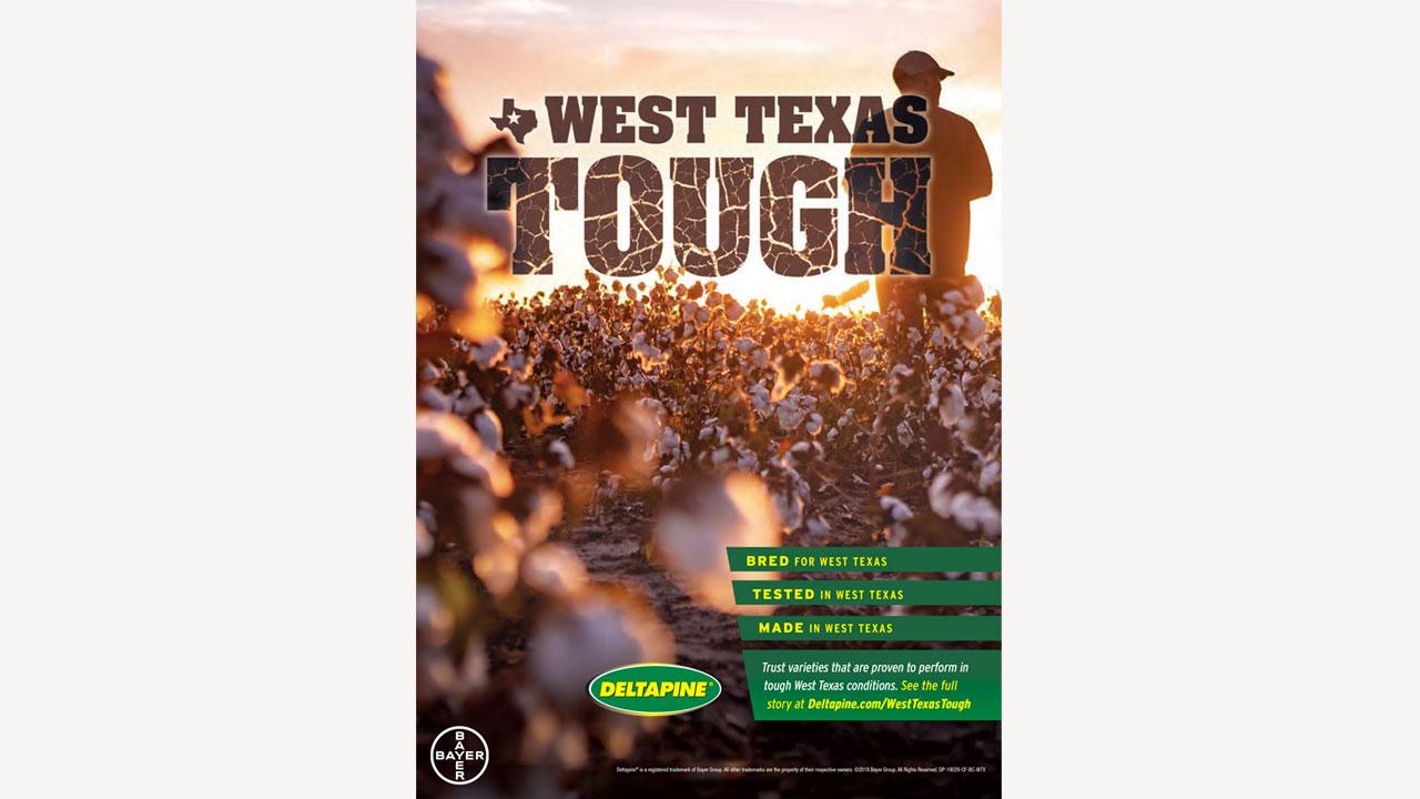 Silhouette of a person in a field with a sunset in the background. The text "West Texas Tough" is prominent above cotton plants. Logos of Deltapine and Bayer are visible at the bottom.