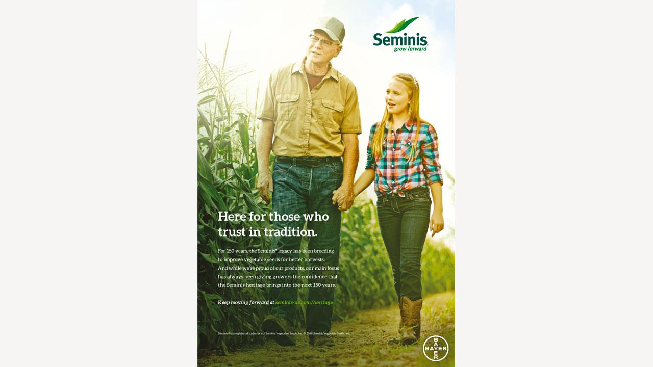 A farmer and a young girl walk through a field holding hands. The text reads: "Here for those who trust in tradition." Seminis and Bayer logos are present.