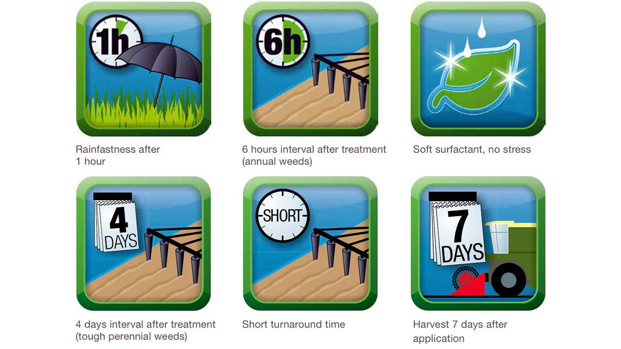 A graphic showing icons for pesticide use: 1-hour rainfastness, 6-hour interval, surfactant info, 4-day interval, short turnaround, and 7-day post-application harvest.