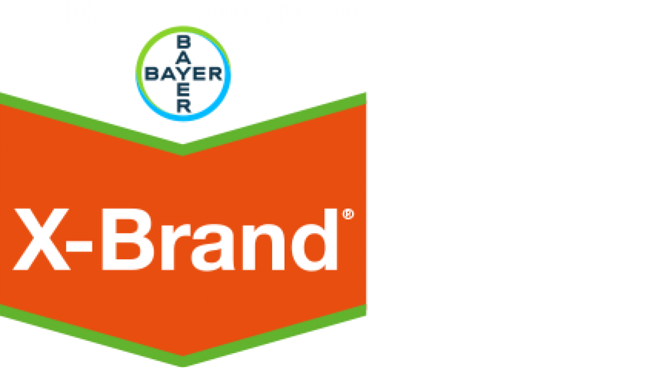 Logo with a red and orange shield design featuring "X-Brand" text and the Bayer logo above it on a white background.