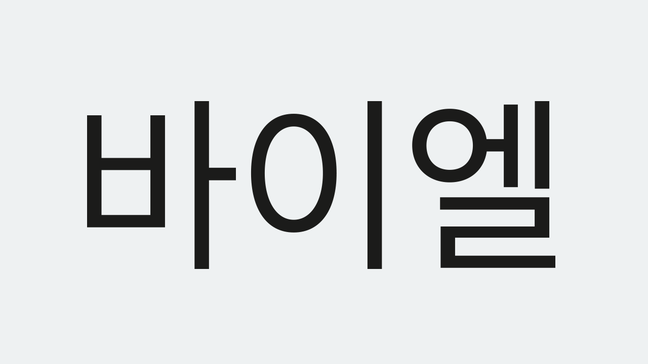 The image displays the word "바이엘" written in bold Korean Hangul characters on a light gray background.