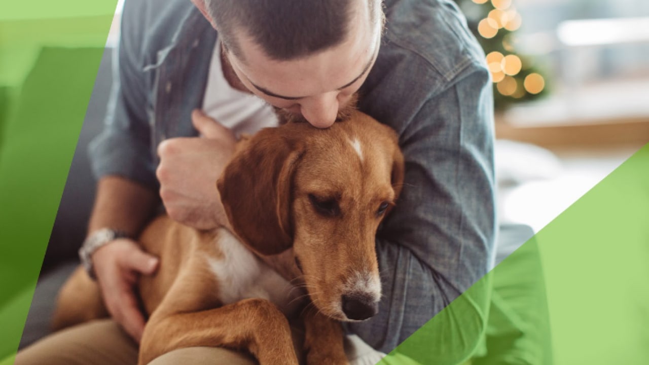 A person in a denim shirt gently hugs a brown dog indoors.