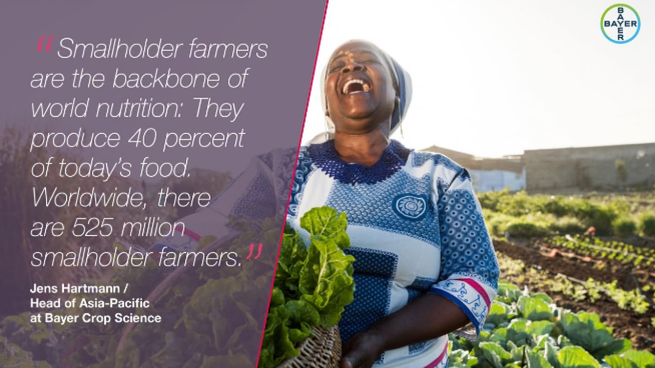 A smiling farmer holds a basket of greens in a field, with a quote about smallholder farmers' contribution to global food supply, and Bayer Crop Science branding.