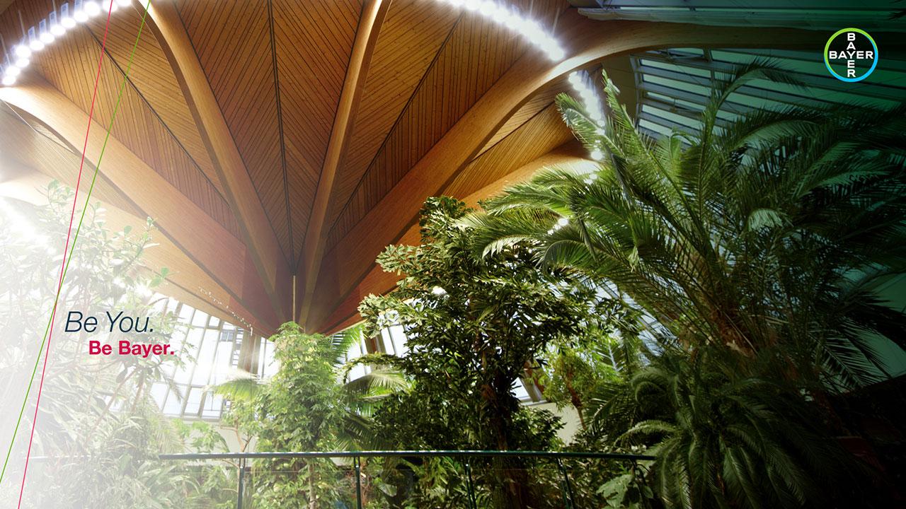Modern interior with wooden ceiling and lush greenery. Bayer logo in top right corner with slogan "Be You. Be Bayer." on the left.