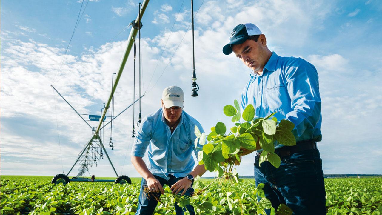Two men in blue shirts examine crops under a large agricultural sprinkler system in a field.