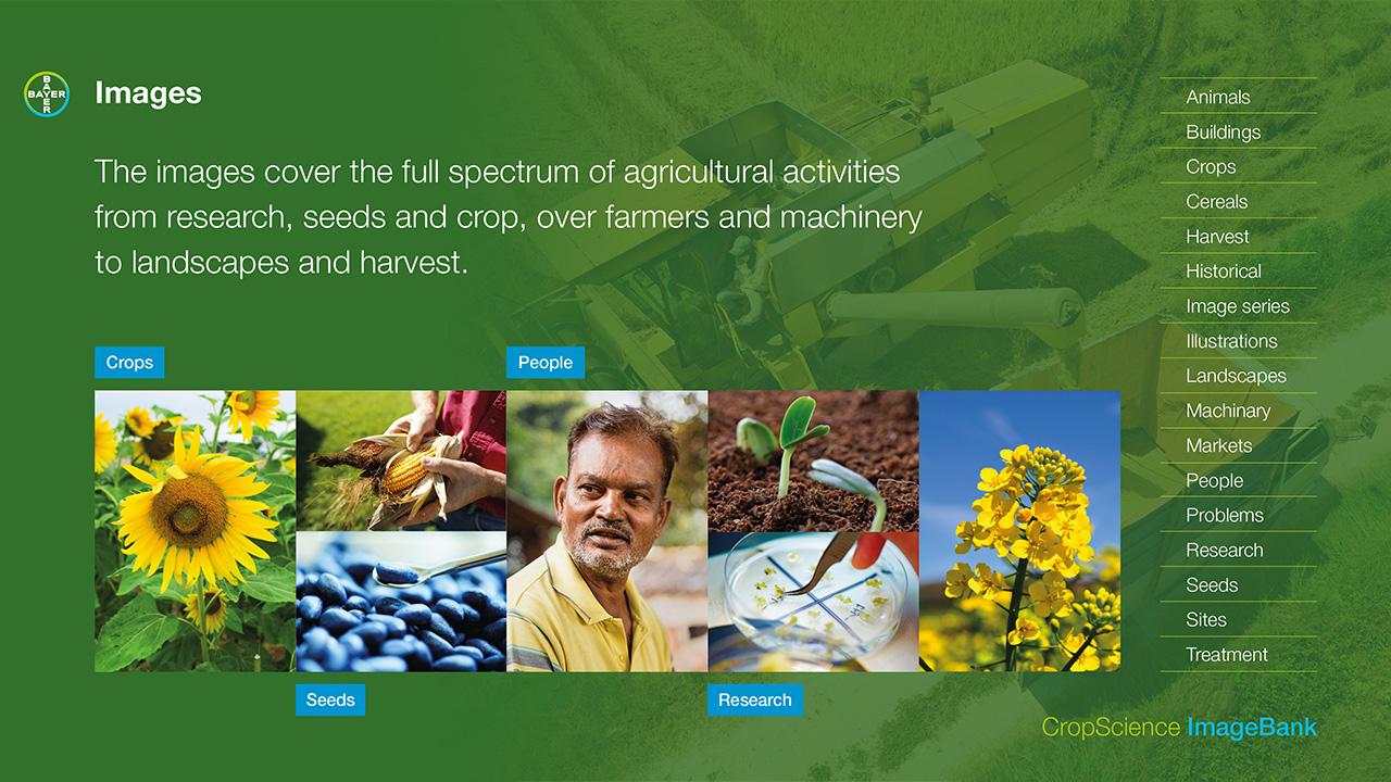 Collage of agricultural activities including crops, seeds, and research, featuring plants, machinery, and a person with nature-themed icons on a green background.