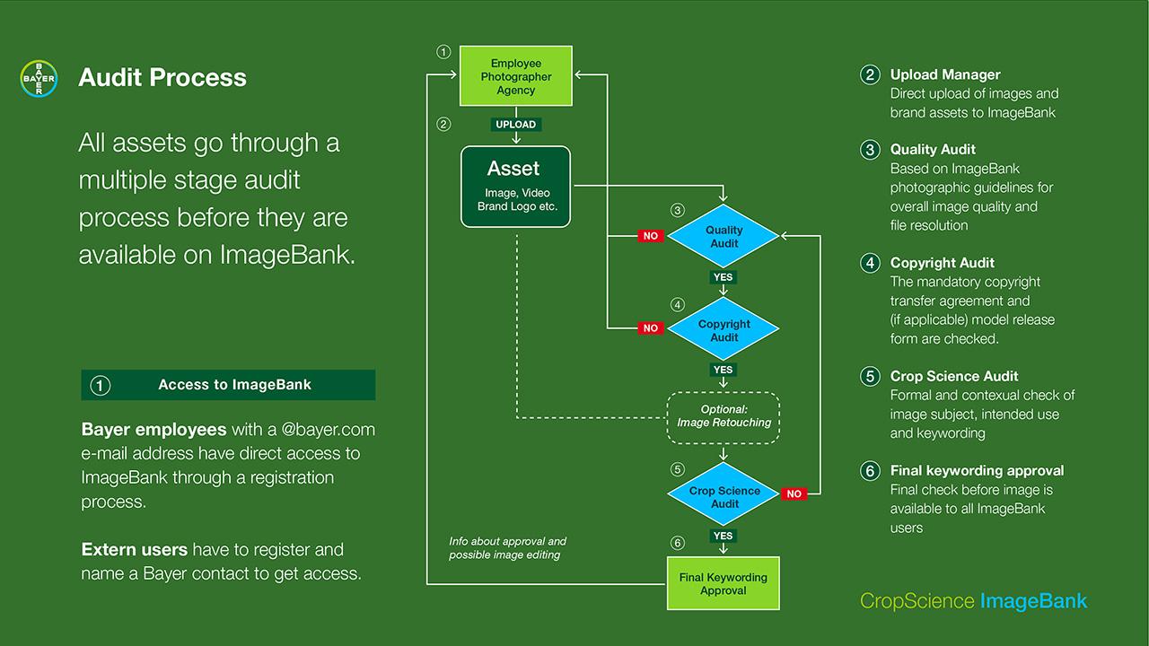 Flowchart of the audit process for uploading assets to ImageBank at Bayer, detailing steps like quality and copyright audits, with access requirements for employees and externs.