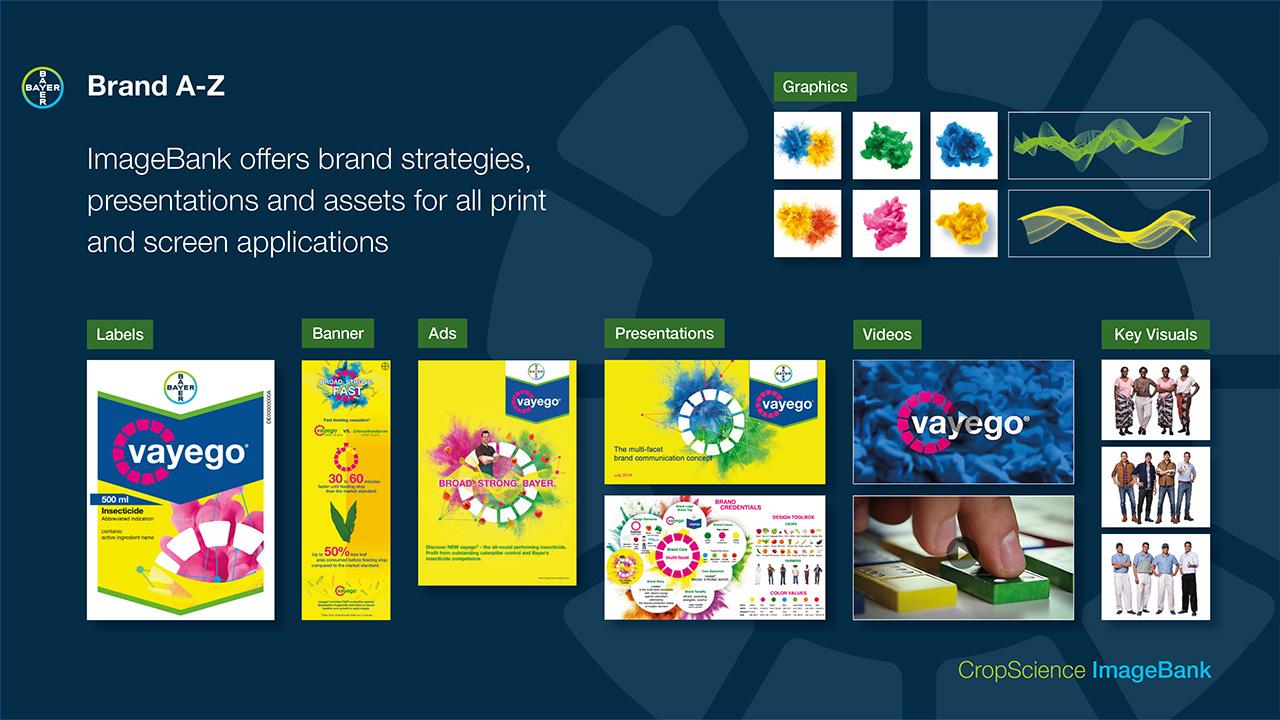 Infographic showcasing various branding materials like labels, ads, presentations, and videos. Includes graphics samples and key visuals for a brand called ImageBank.