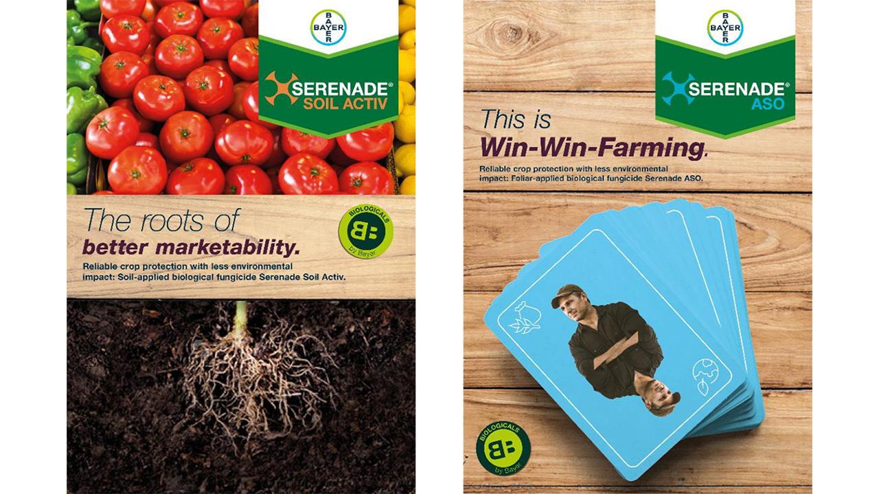Two promotional posters for Bayer's Serenade products. Left: Tomatoes with text on soil marketability. Right: Playing cards featuring a man, with text on win-win farming benefits.