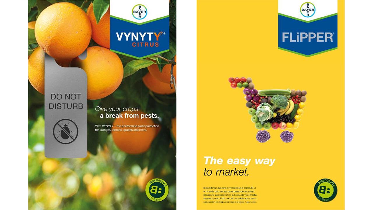 Two product posters for VYNYTY Citrus and FLiPPER by Bayer. Left: Orange citrus focus with pest warning. Right: Mixed vegetables with tagline "The easy way to market.