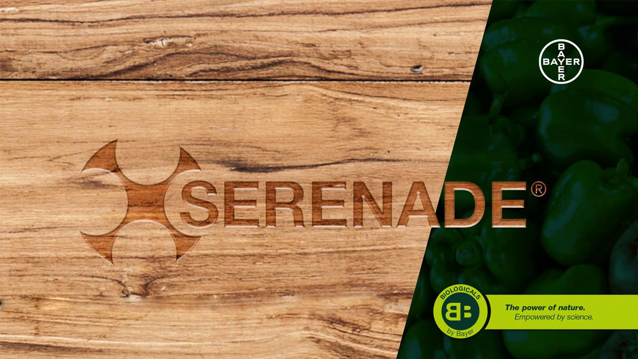 Wooden background with the Serenade logo in the center. Green section on the right features Bayer logos and the tagline "The power of nature. Empowered by science.