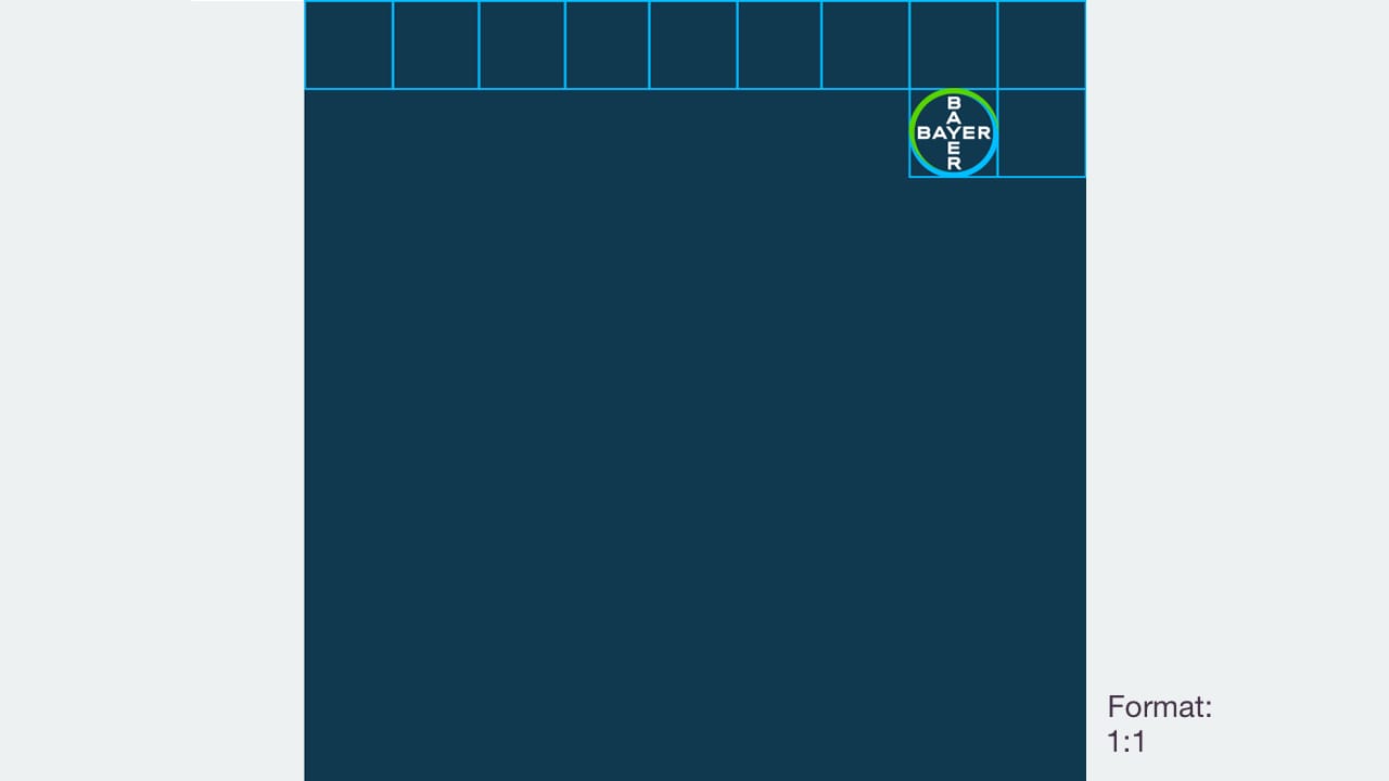 Dark blue grid with Bayer logo in the top right corner. Format marked as 1:1.