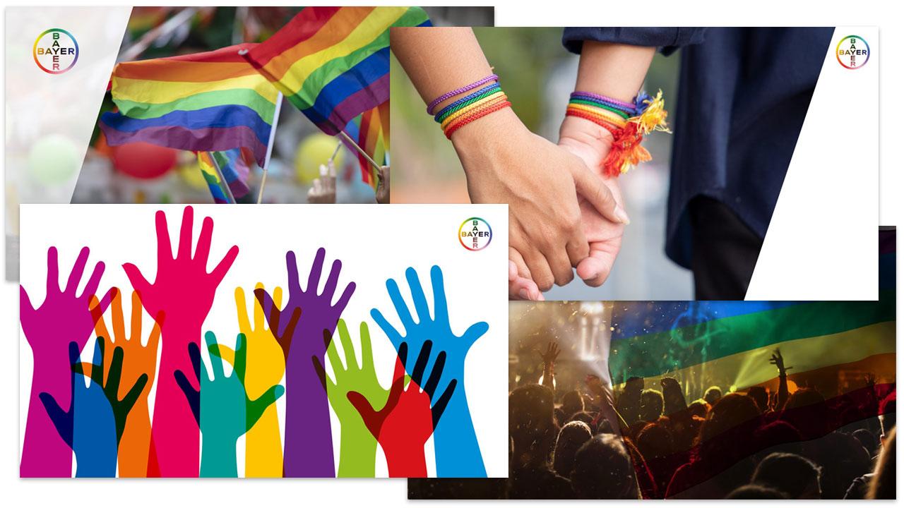 Collage features rainbow flags, hands with rainbow bracelets, colorful raised hands illustration, and a crowd with a rainbow flag. Bayer logo is visible on multiple images.