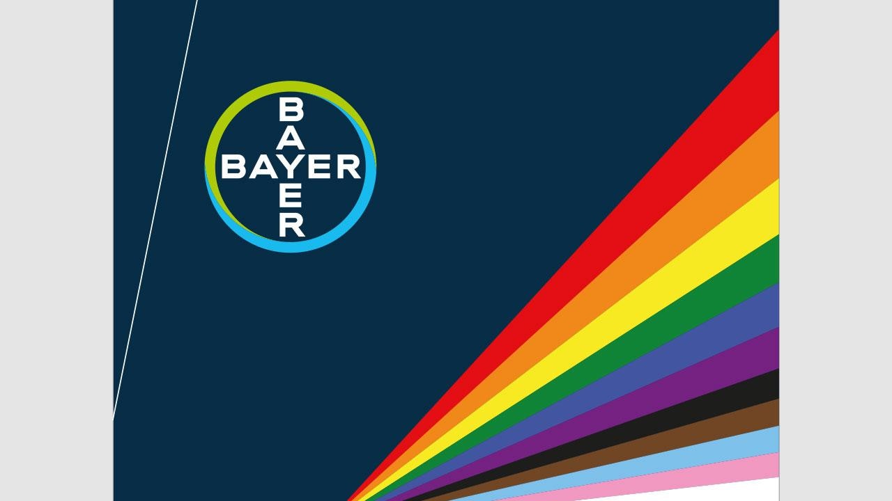 Pride Month Flag with 11 colors 