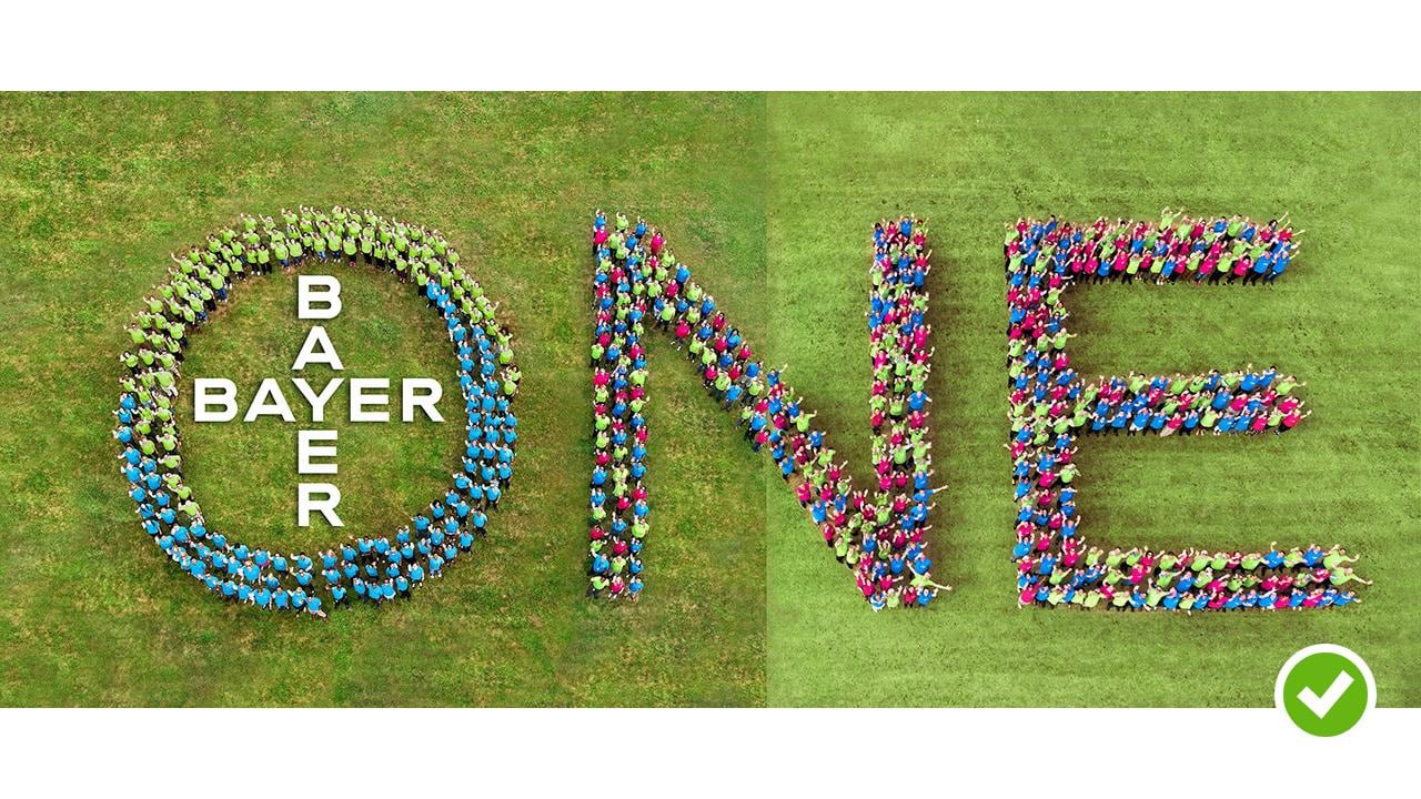 Bayer One