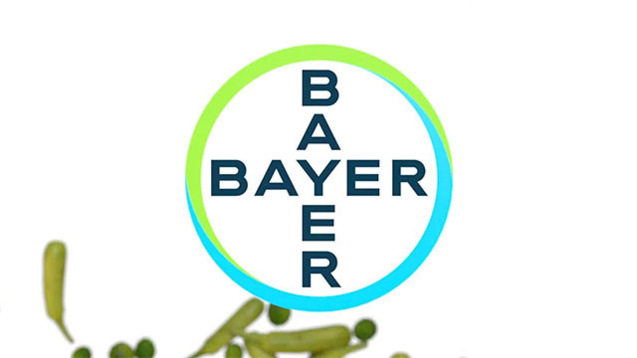 Animated Bayer Logo