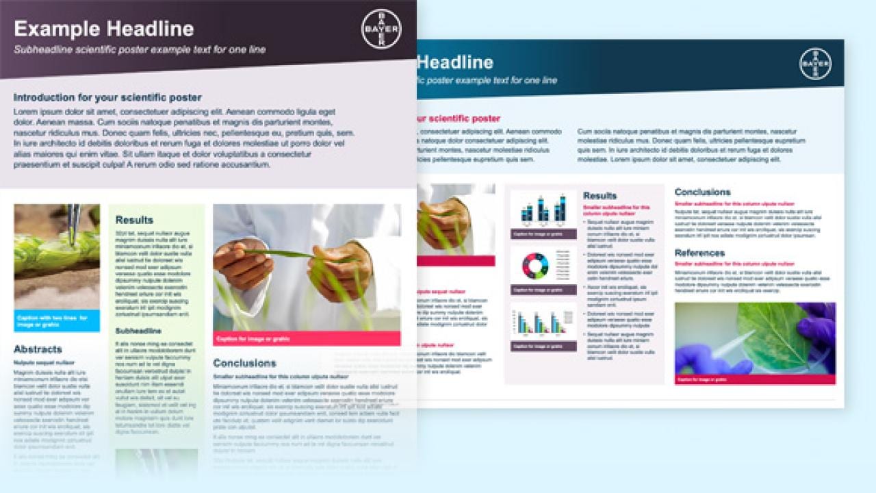 Poster sessions templates