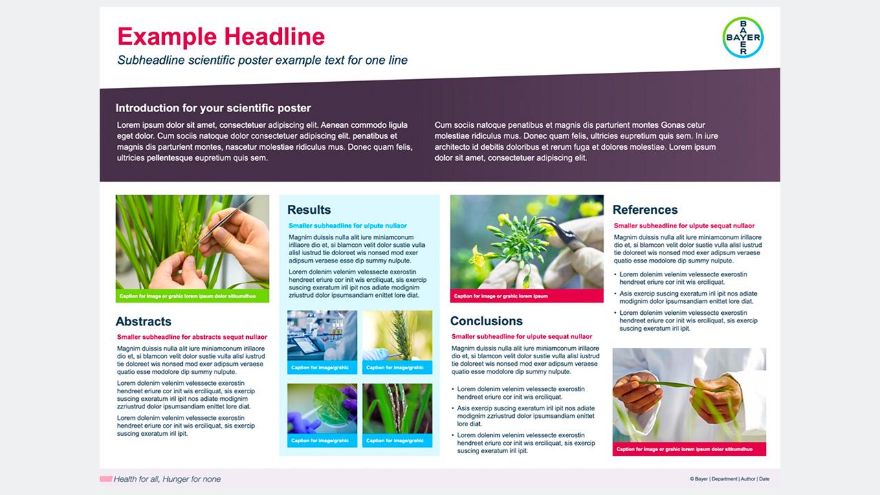 Poster Examples (landscape)