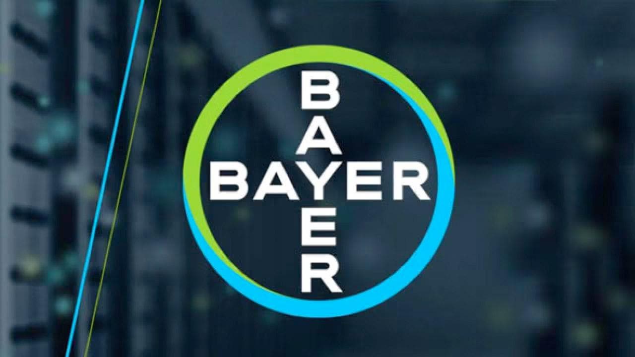 Bayer Cross