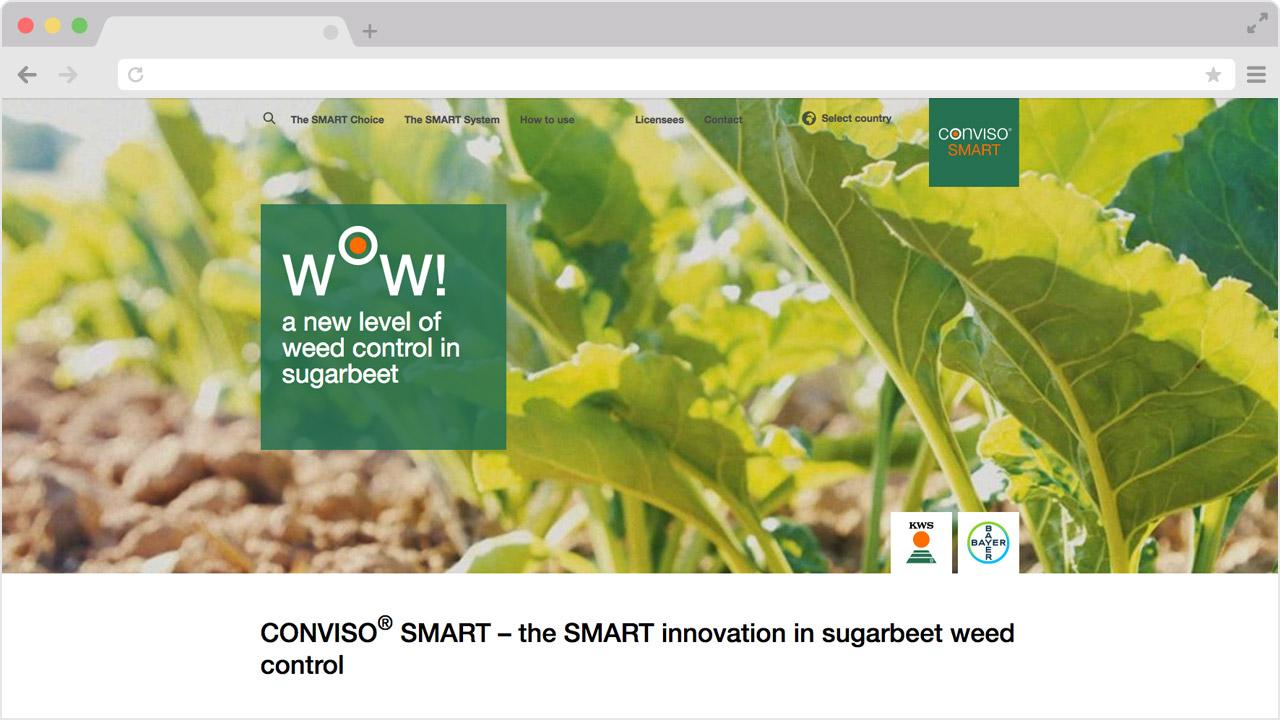 Examples of co-branding