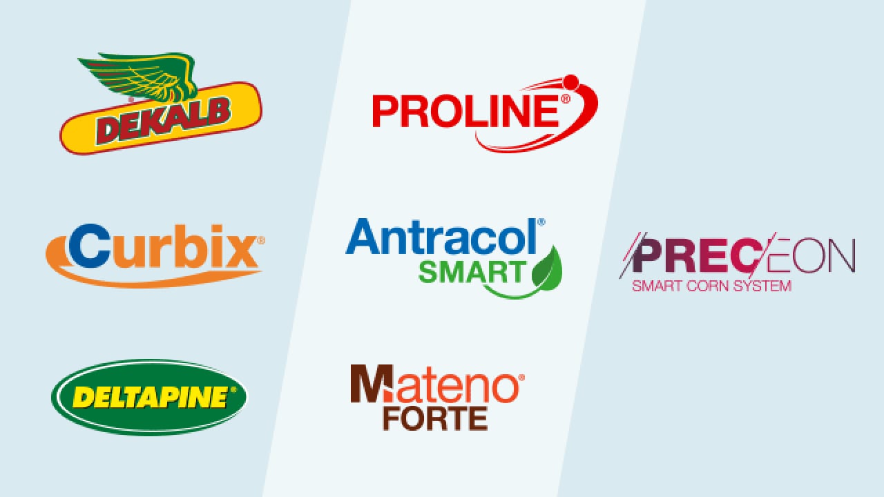 Brand Differentiation