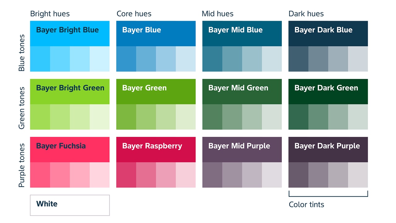 Color Palette